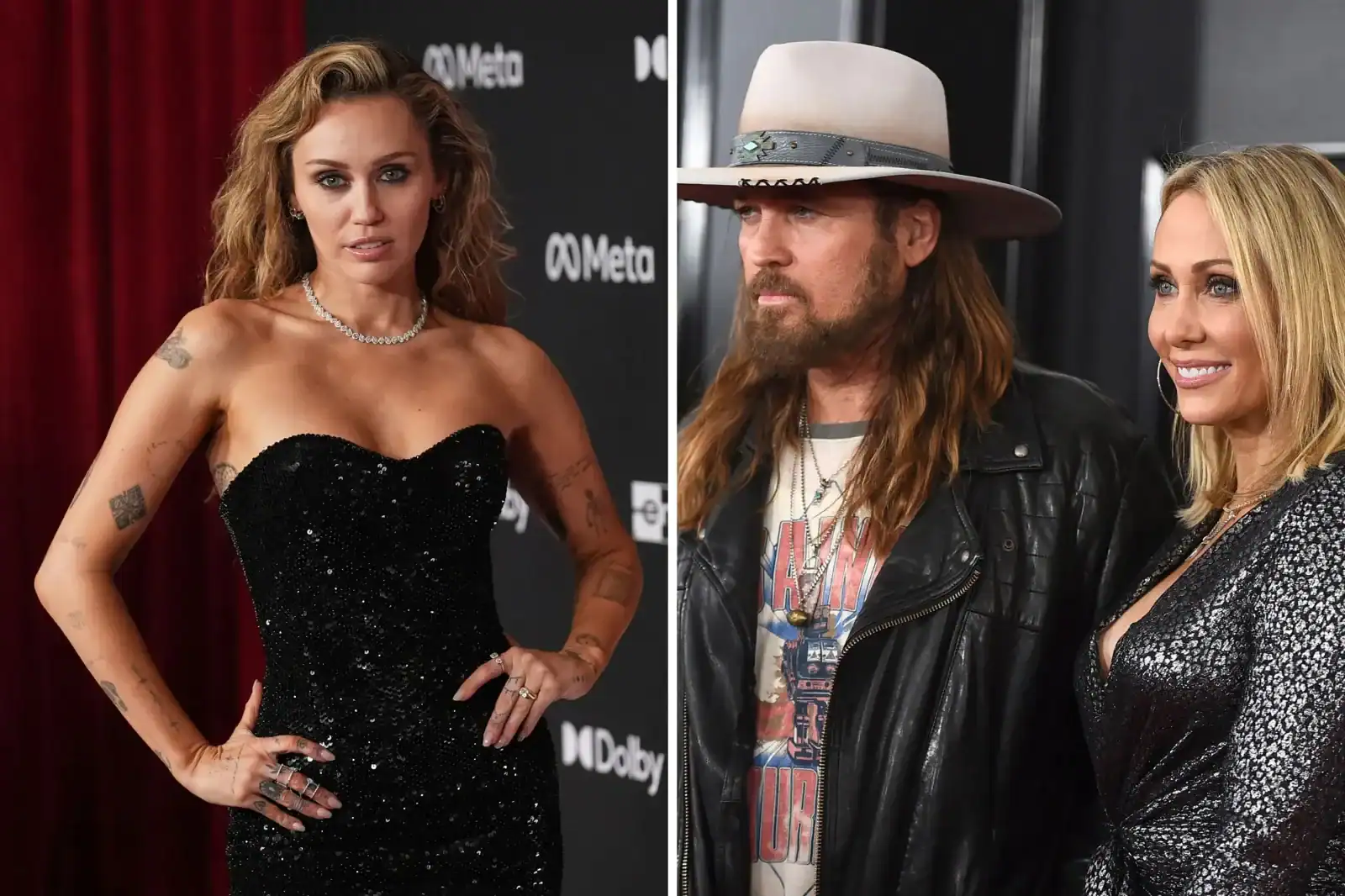 Miley Cyrus at a public event, related to her legal case involving adoption laws, highlighting her role in the ongoing lawsuit.